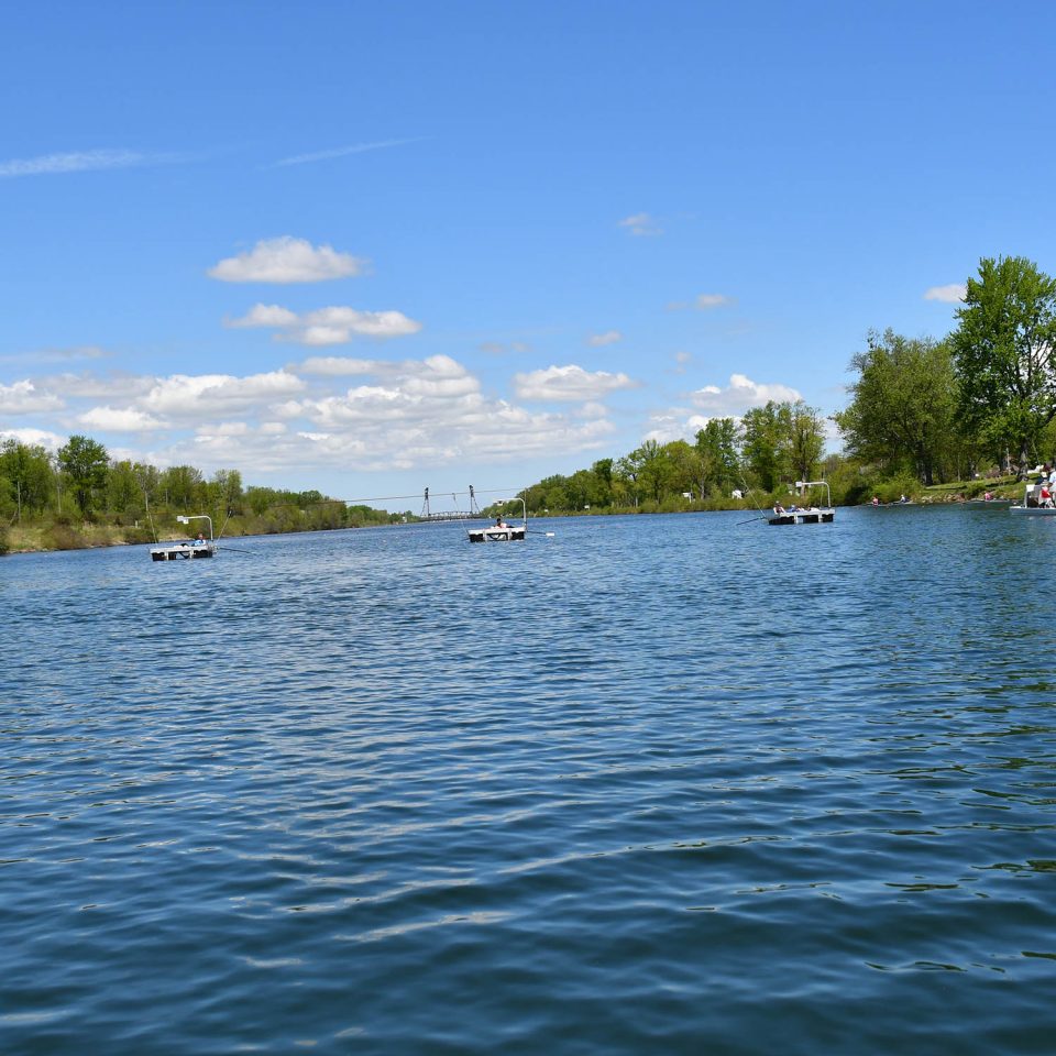 Call for Expressions of Interest: Diversity & Inclusion Committee