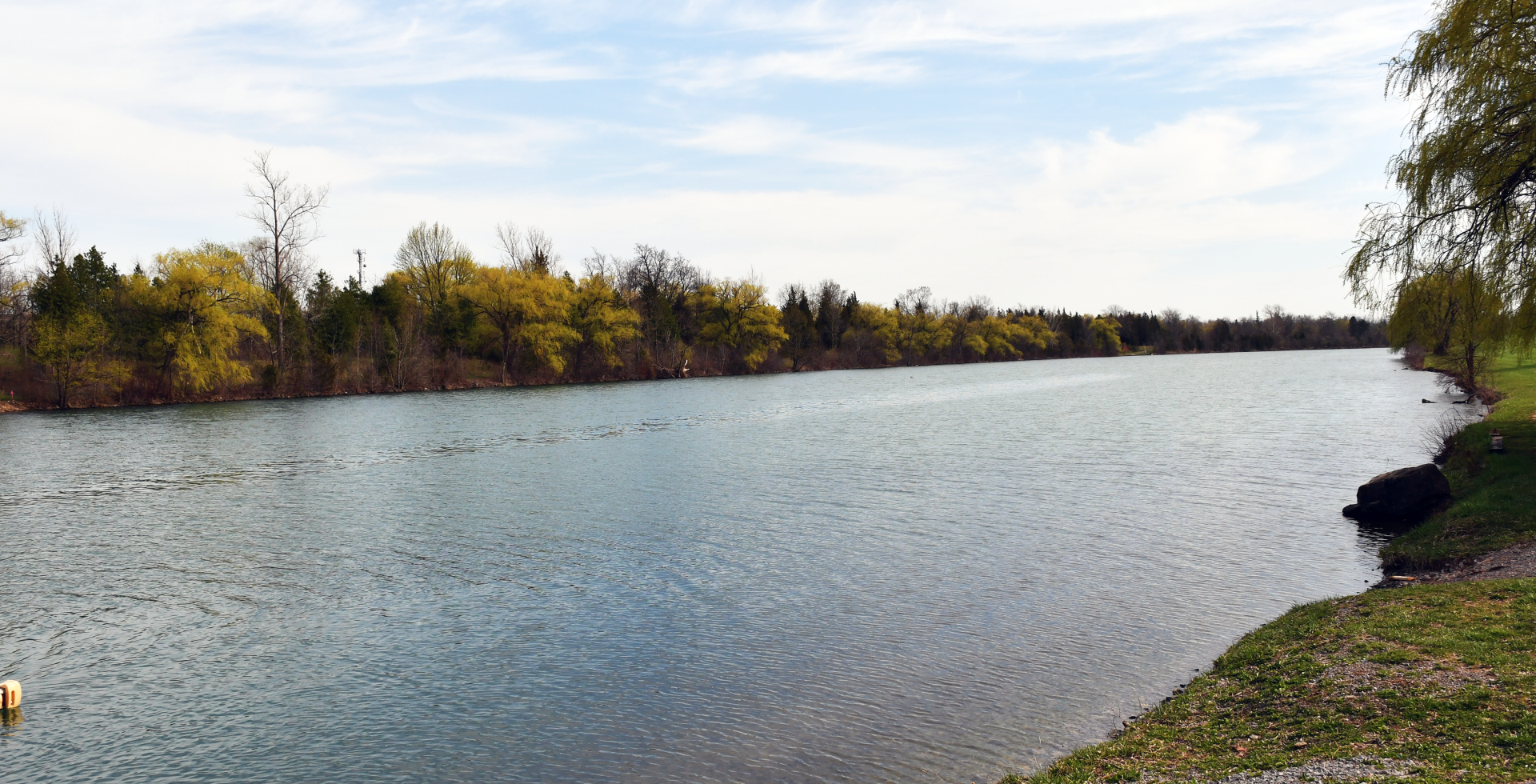 Why Niagara?